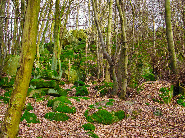 images/bilderleisten/heidenhaeuschen/hei-14.jpg#joomlaImage://local-images/bilderleisten/heidenhaeuschen/hei-14.jpg?width=700&height=525