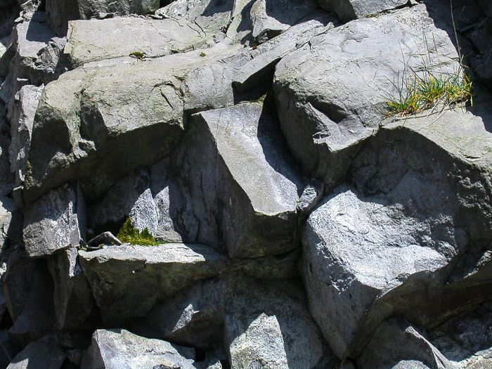 images/bilderleisten/heidenhaeuschen/hei-2.jpg#joomlaImage://local-images/bilderleisten/heidenhaeuschen/hei-2.jpg?width=700&height=525