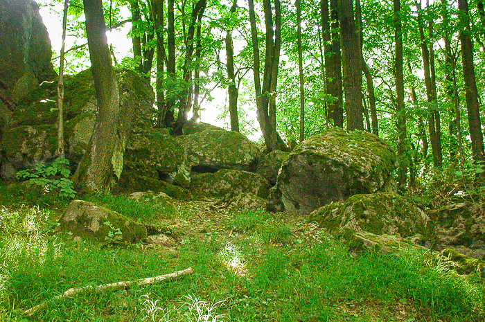 images/bilderleisten/heidenhaeuschen/hei-21.jpg#joomlaImage://local-images/bilderleisten/heidenhaeuschen/hei-21.jpg?width=700&height=465