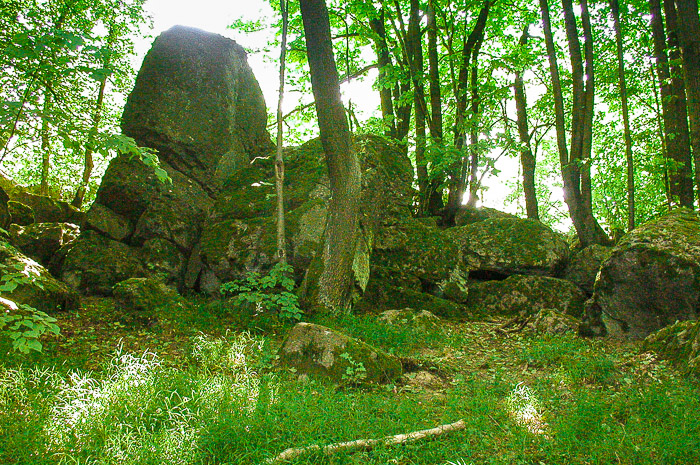 images/bilderleisten/heidenhaeuschen/hei-22.jpg#joomlaImage://local-images/bilderleisten/heidenhaeuschen/hei-22.jpg?width=700&height=465