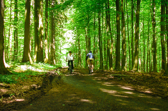 images/bilderleisten/heidenhaeuschen/hei-24.jpg#joomlaImage://local-images/bilderleisten/heidenhaeuschen/hei-24.jpg?width=700&height=465