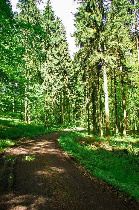 images/bilderleisten/heidenhaeuschen/hei-26.jpg#joomlaImage://local-images/bilderleisten/heidenhaeuschen/hei-26.jpg?width=465&height=700