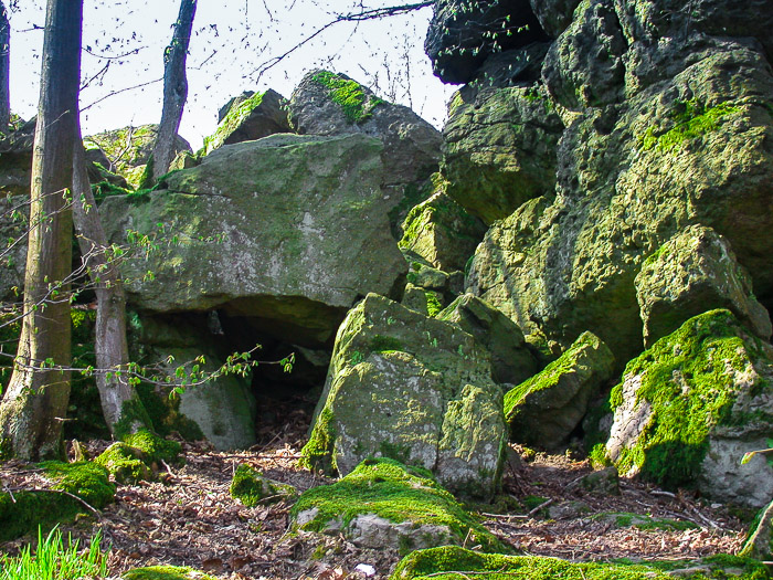 images/bilderleisten/heidenhaeuschen/hei-5.jpg#joomlaImage://local-images/bilderleisten/heidenhaeuschen/hei-5.jpg?width=700&height=525