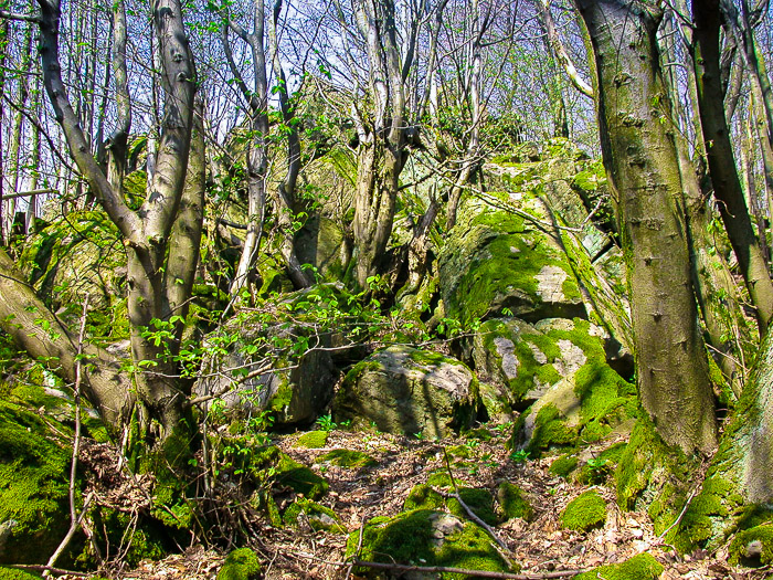 images/bilderleisten/heidenhaeuschen/hei-8.jpg#joomlaImage://local-images/bilderleisten/heidenhaeuschen/hei-8.jpg?width=700&height=525