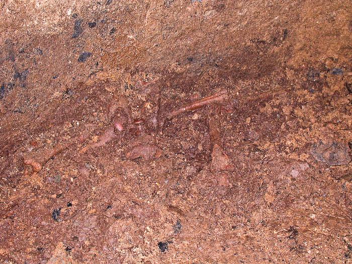 images/bilderleisten/hungerturm/20040213-20040213-hungerturm024.jpg#joomlaImage://local-images/bilderleisten/hungerturm/20040213-20040213-hungerturm024.jpg?width=700&height=525