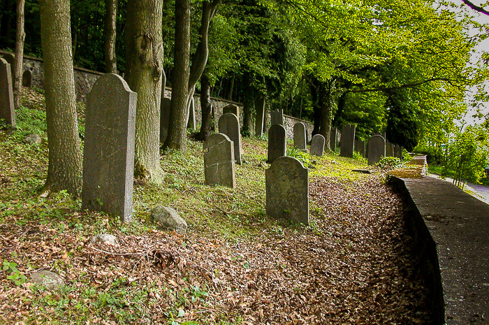 images/bilderleisten/juedischer_friedhof/01%20(14).jpg#joomlaImage://local-images/bilderleisten/juedischer_friedhof/01 (14).jpg?width=700&height=465