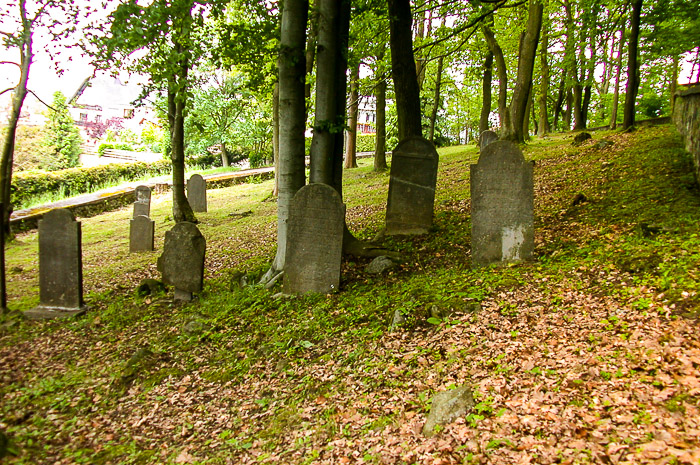 images/bilderleisten/juedischer_friedhof/01%20(16).jpg#joomlaImage://local-images/bilderleisten/juedischer_friedhof/01 (16).jpg?width=700&height=465