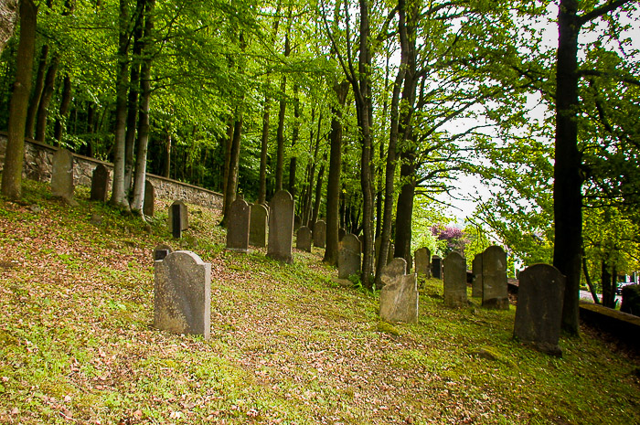 images/bilderleisten/juedischer_friedhof/01%20(17).jpg#joomlaImage://local-images/bilderleisten/juedischer_friedhof/01 (17).jpg?width=700&height=465