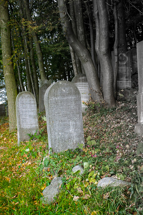 images/bilderleisten/juedischer_friedhof/01%20(21).jpg#joomlaImage://local-images/bilderleisten/juedischer_friedhof/01 (21).jpg?width=467&height=700