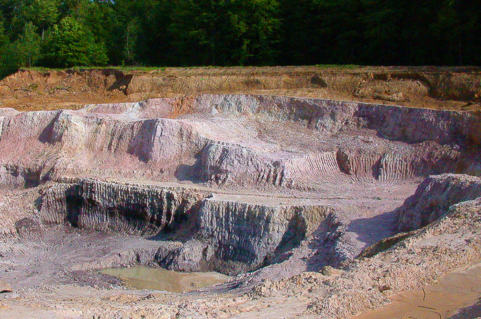 images/bilderleisten/naturschutzgebiet/na-10.jpg#joomlaImage://local-images/bilderleisten/naturschutzgebiet/na-10.jpg?width=700&height=465