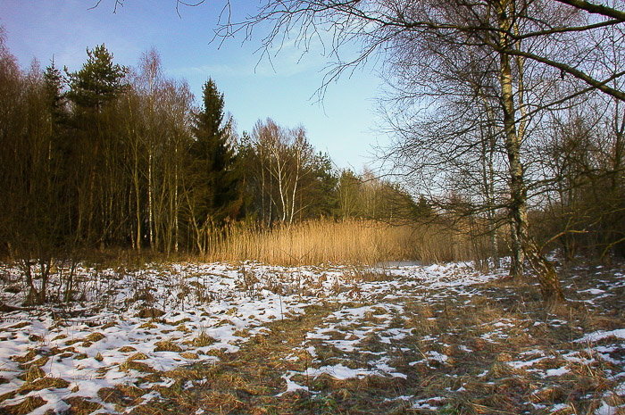 images/bilderleisten/naturschutzgebiet/na-12.jpg#joomlaImage://local-images/bilderleisten/naturschutzgebiet/na-12.jpg?width=700&height=465