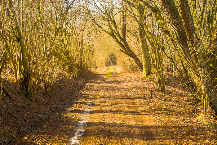 images/bilderleisten/naturschutzgebiet/na-28.jpg#joomlaImage://local-images/bilderleisten/naturschutzgebiet/na-28.jpg?width=700&height=467