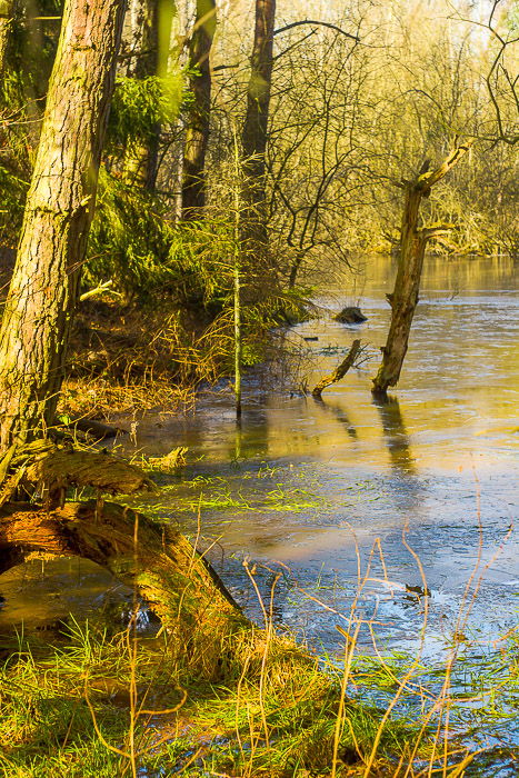 images/bilderleisten/naturschutzgebiet/na-35.jpg#joomlaImage://local-images/bilderleisten/naturschutzgebiet/na-35.jpg?width=467&height=700