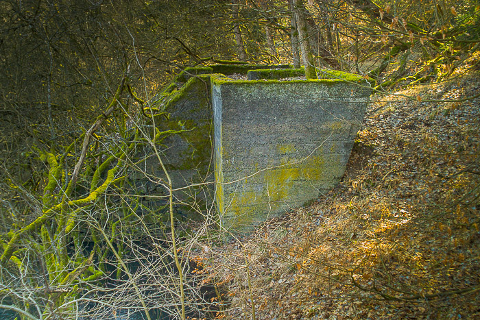 images/bilderleisten/naturschutzgebiet/na-43.jpg#joomlaImage://local-images/bilderleisten/naturschutzgebiet/na-43.jpg?width=700&height=467