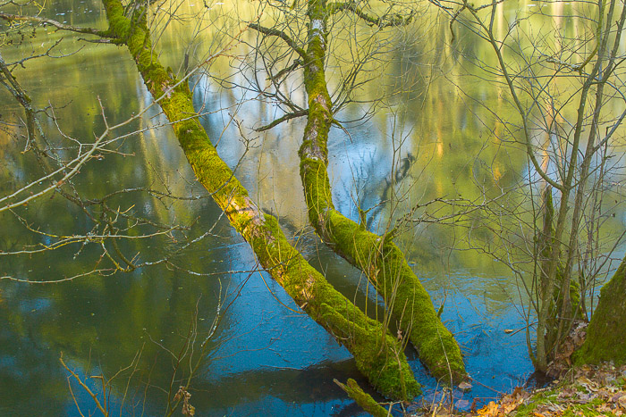 images/bilderleisten/naturschutzgebiet/na-46.jpg#joomlaImage://local-images/bilderleisten/naturschutzgebiet/na-46.jpg?width=700&height=467