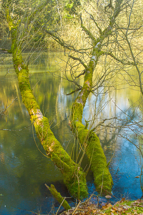 images/bilderleisten/naturschutzgebiet/na-47.jpg#joomlaImage://local-images/bilderleisten/naturschutzgebiet/na-47.jpg?width=467&height=700