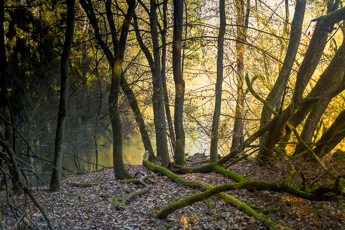 images/bilderleisten/naturschutzgebiet/na-48.jpg#joomlaImage://local-images/bilderleisten/naturschutzgebiet/na-48.jpg?width=700&height=467