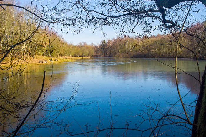 images/bilderleisten/naturschutzgebiet/na-52.jpg#joomlaImage://local-images/bilderleisten/naturschutzgebiet/na-52.jpg?width=700&height=467